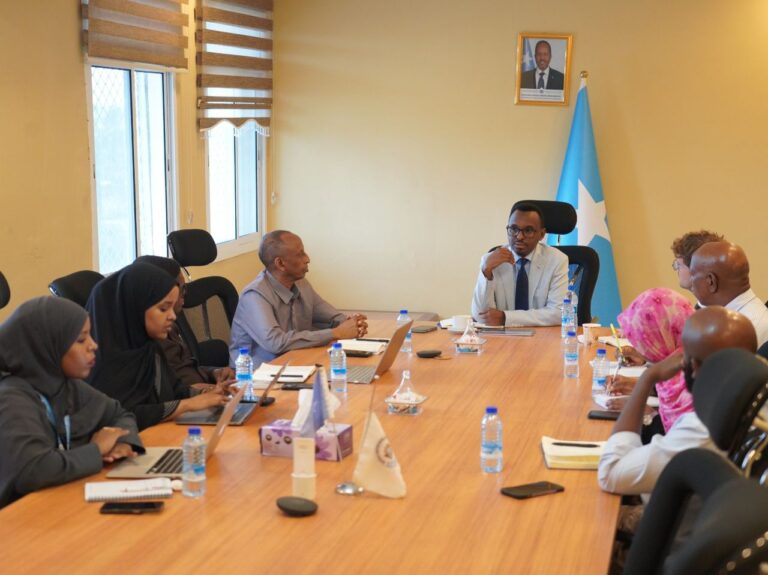 Hantidhowraha Guud ee Qaranka oo la kulmay Wefdi ka socda Midowga Yurub