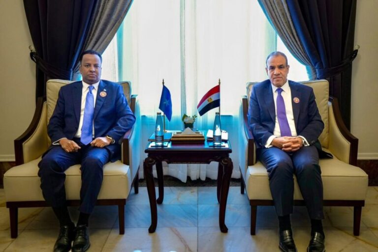 Wasiirka Arrimaha Dibadda Soomaaliya oo kulan la qaatay dhiggiisa dalka Masar 