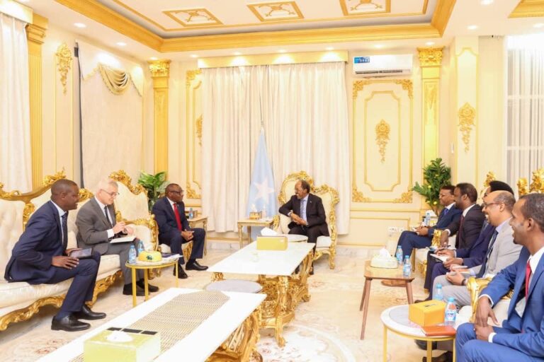 Madaxweynaha JFS oo Madaxtooyada Qaranka ku qaabilay Madaxa Guddiga Dhaqaalaha Qaramada Midoobay ee Afrika