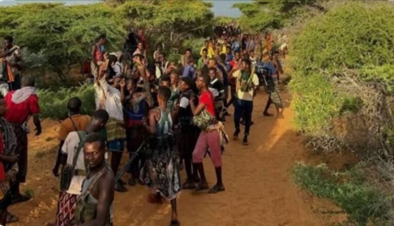 Ciidamada Qaranka iyo kuwa degaanka  oo saakay weerar ku qaaday firxadka khawaarijta aagga deegaanka Ceelhareeri