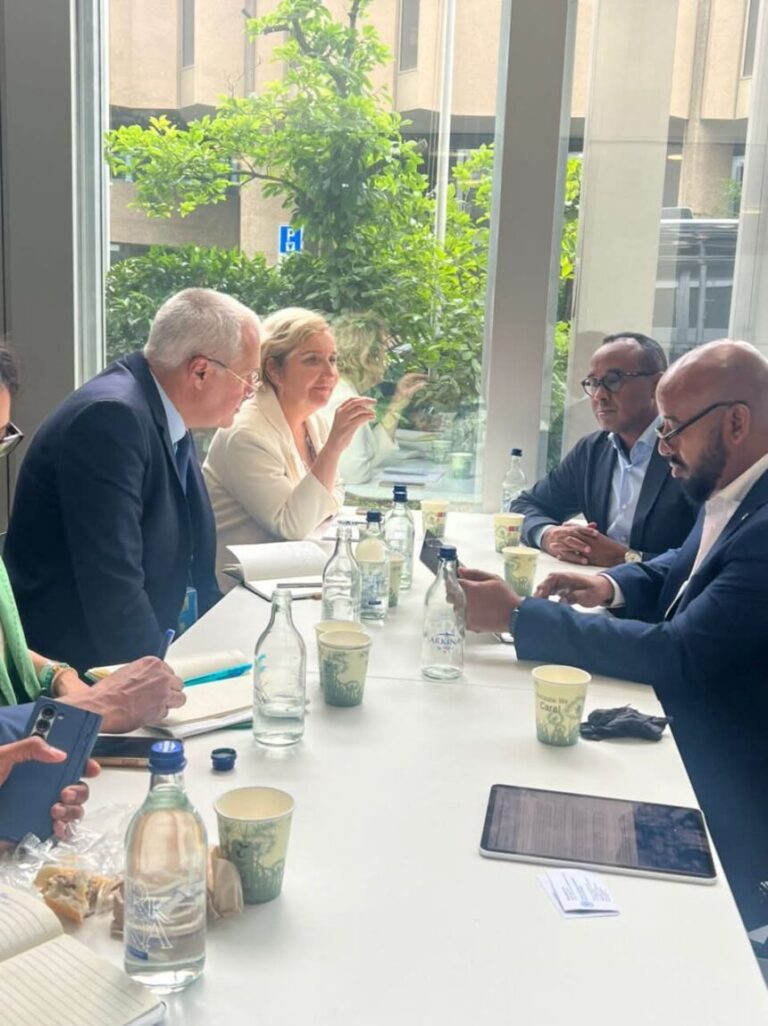 Guddoomiyaha hay’adda SoDMA oo Geneva kula kulmay madaxda hay’ado caalami ah