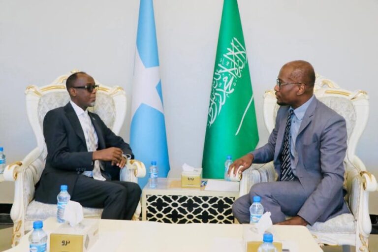 Wasiirka Ganacsiga oo la kulmay Safiirka Sucuudiga u fadhiya Soomaaliya