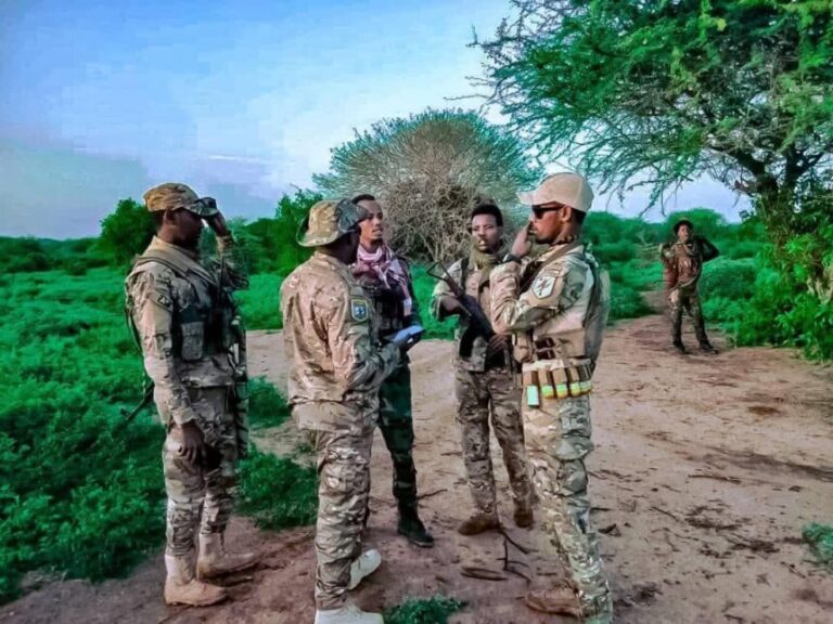 Ciidanka Xoogga oo howlgal qorsheysan ka fuliyay Gobolka Jubbadda Hoose