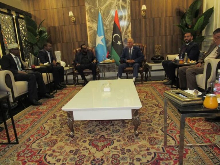 Wasiiru Dowlaha Qorsheynta oo ka Qayb Galaya Shirka 2aad ee Guddiga Sare ee Machadka Qorsheynta Carabta (API)