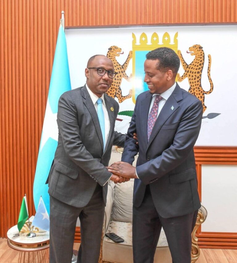 Wasiir Kuxigeenka Arrimaha Dibadda oo Soo Dhaweeyay Wakiilka Cusub ee Midowga Afrika