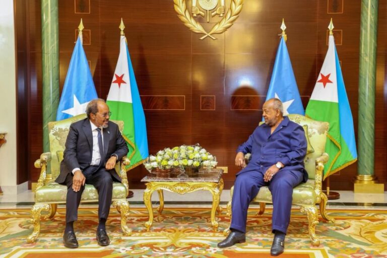 Madaxweyne Xasan Sheekh oo kulan la qaatay dhigiisa Madaxweynaha Jamhuuriyadda Jabuuti