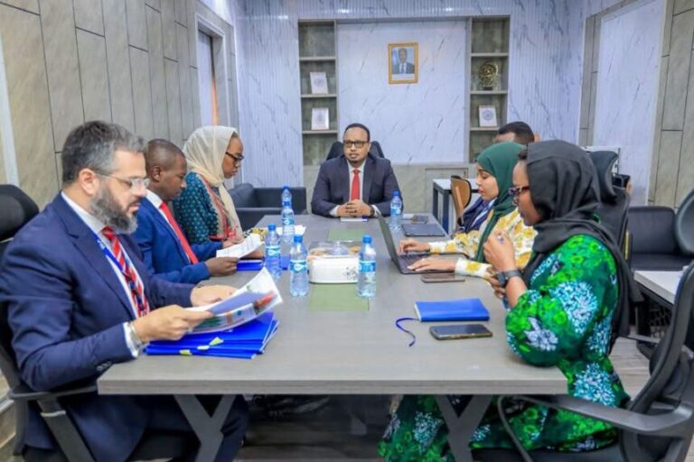 Wasiir ku xigeenka Arrimaha Gudaha oo la kulmay Agaasime ku xigeenka Hay’adda IOM