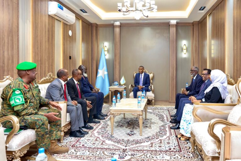 Ra’iisul Wasaare Xamsa oo la kulmay Wakiilka Gaarka ah ee Midowga Afrika ee Soomaaliya