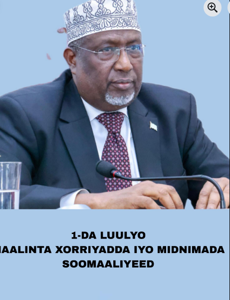 Guddoomiye Aadan madoobe oo diray hambalyo ku aaddan 1-da Luulyo