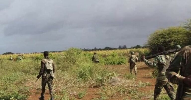 Ciidanka XDS oo Shabellaha hoose ku dilay xubno ka tisan Khawaarijta