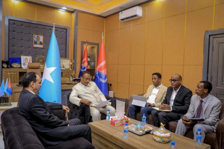 Guddoomiye Muungaab oo la kulmay Danjiraha Ururka Jaamacadda Carabta u fadhiya Soomaaliya