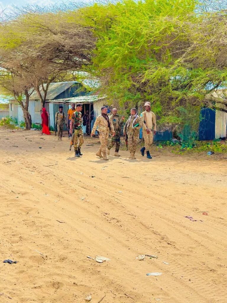 Ciidamada Xoogga Dalka oo fuliyay howlgal qorsheysan