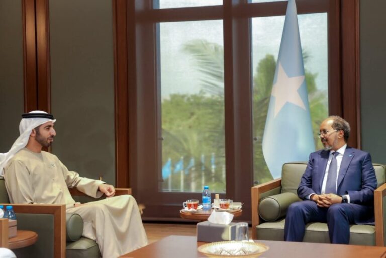 Madaxweynaha JFS oo qaabilay Wasiiru-Dowlaha  Arrimaha Dibadda ee Imaaraadka