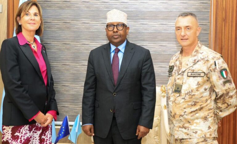 Wasiir Fiqi oo qaabilay danjiraha Midowga Yurub