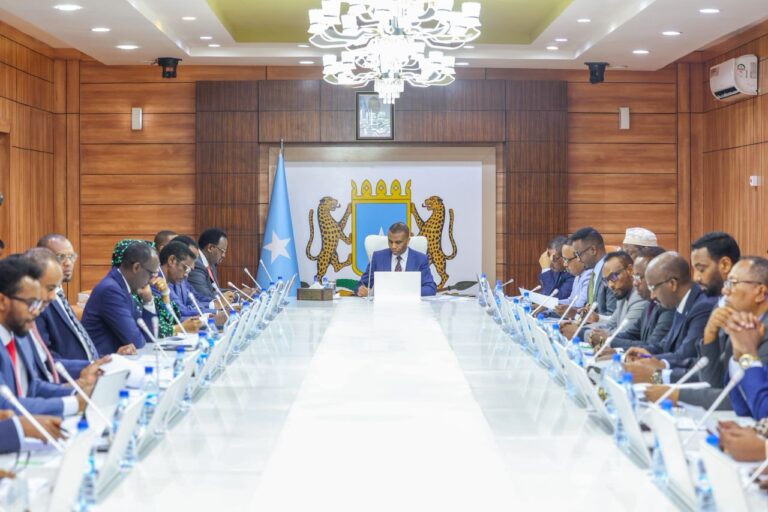 Golaha Wasiirrada oo ansixiyey Hindise Sharciyeedka Dambiyada Saybarka Soomaaliya