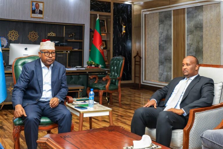 Wasiirka Gaashaanshigga oo kulan la qaatay Guddiga Difaaca iyo Amniga Aqalka Sare