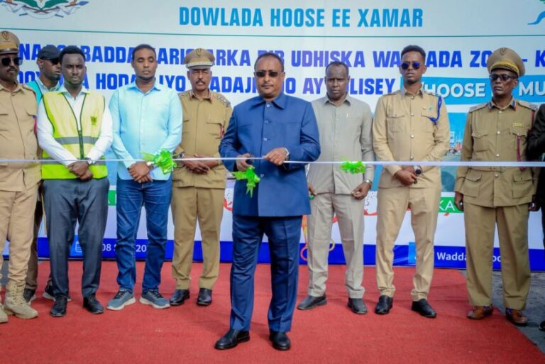 Guddoomiyaha Gobolka Banaadir oo xarigga ka jaray wadada Soobe oo dib udhis lagu sameeyay