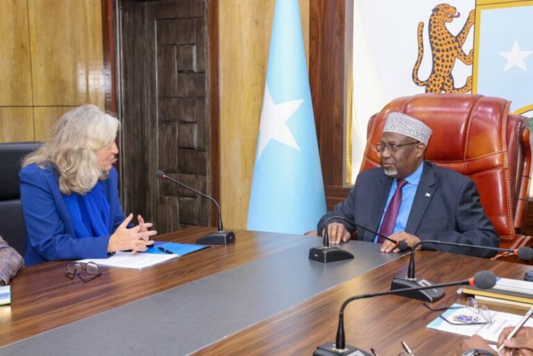 Guddoomiyaha Golaha Shacabka oo la kulmay Safiirka Midowga Yurub u qaabilsan Soomaaliya