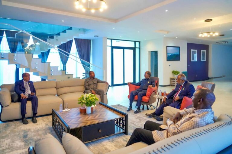 Madaxweyne Xasan Sheekh Maxamuud oo ka qeybgalay shirka Maalgelinta AUSSOM