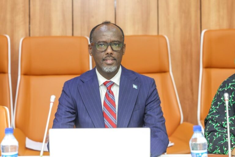 Soomaaliya iyo Aljeeriya oo ka wada hadlay xoojinta iskaashiga dhaqaalaha labada dal