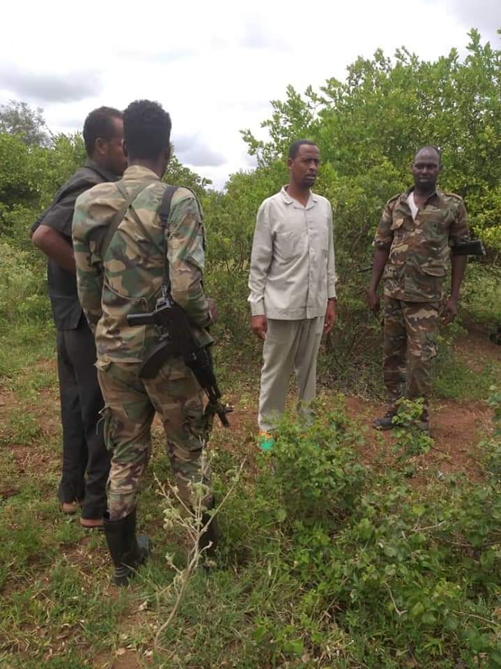 Ciidanka Xoogga dalka Soomaaliyeed oo la wareegay Degmada Awdheegle