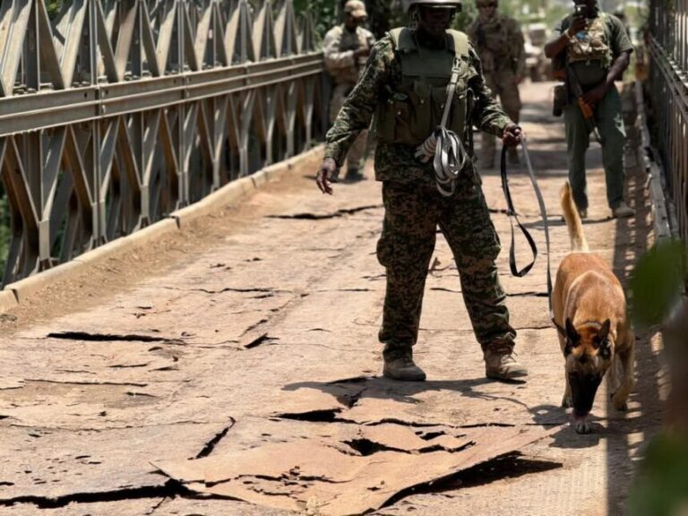 Ciidanka Xoogga oo howlgallo miino baaris ah ka wada degmada Awdheegle Ciidanka Xoogga oo howlgallo miino baaris ah ka wada degmada Awdheegle