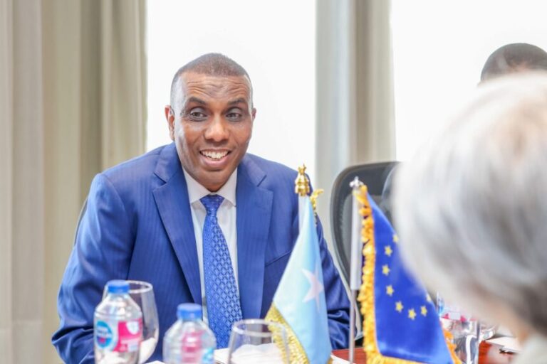 Ra’iisul Wasaaraha XFS oo la kulmay Wakiilka Gaarka ah ee Midowga Yurub u qaabilsan Geeska Afrika Ra’iisul Wasaaraha XFS oo la kulmay Wakiilka Gaarka ah ee Midowga Yurub u qaabilsan Geeska Afrika