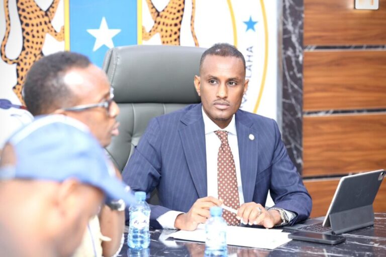 Wasiir Ku-Xigeenka Qorshaynta oo faray hay’adaha dalka inay muujiyaan waxqabad muuqda. Wasiir Ku-Xigeenka Qorshaynta oo faray hay’adaha dalka inay muujiyaan waxqabad muuqda.