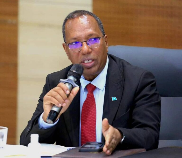 Wasiirka Howlaha Guud oo sheegay in Muqdisho laga hirgelin doono waddooyin tayo leh iyo biya mareenno waara Wasiirka Howlaha Guud oo sheegay in Muqdisho laga hirgelin doono waddooyin tayo leh iyo biya mareenno waara