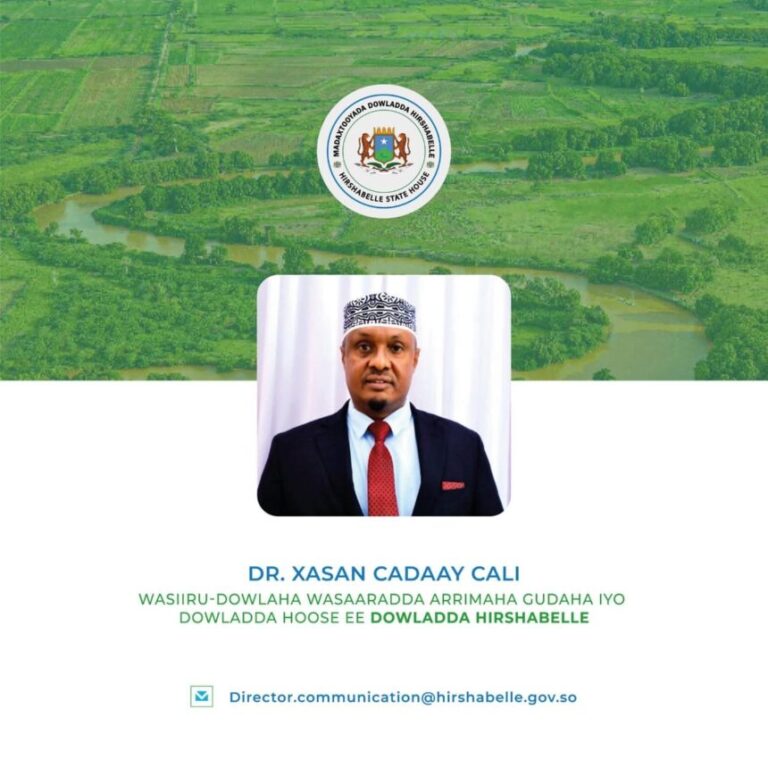 Madaxweynaha Hirshabeelle oo magacaabay Wasiiru-Dowlaha Arrimaha Gudaha