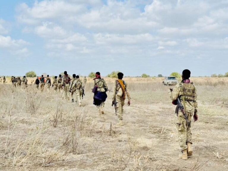 Ciidanka Xoogga oo howlgallo ka dhan ah khawaarijta ka wada gobolka jubbada Hoose