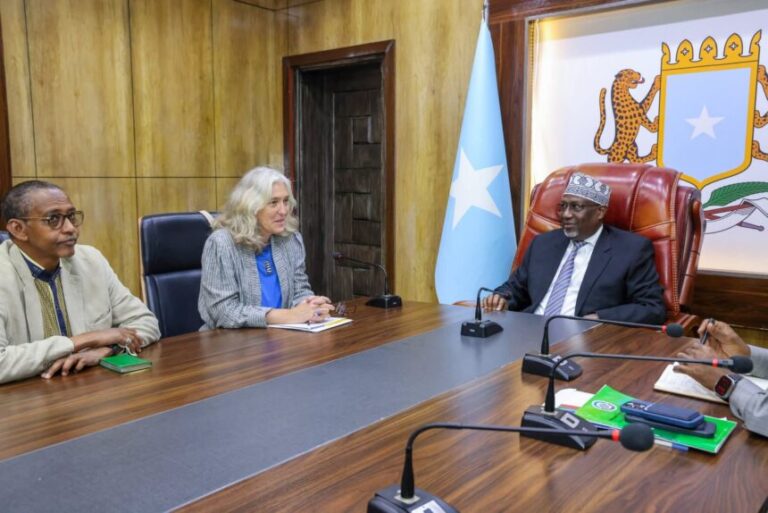 Guddoomiyaha Golaha Shacabka oo la kulmay Safiirka Midowga Yurub u qaabilsan Soomaaliya