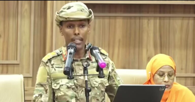 Taliyaha CXDS “howlgallada ‘Kaaha Waaberi’ iyo ‘Ileys’ ayaa si weyn u naafeeyay Khawaarijta”.