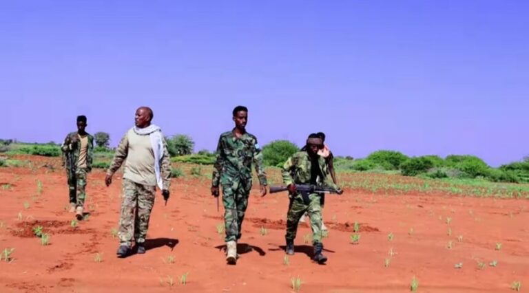 Horjooge katirsanaa khawaarijta oo lagu dilay howlgal ka dhacay gobolka Bakool