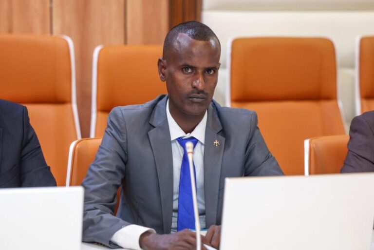 Warbixin: Muhiimadda Weyn ee Hannaanka Dawladnimo ee Hanaqaaday