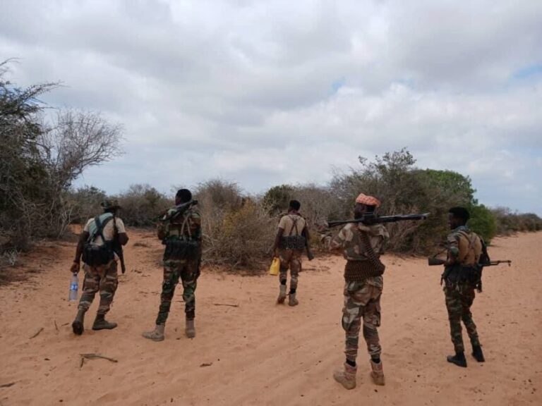 Howlgal ka dhan ah khawaarijta oo ka dhacay Shebeellaha Dhexe