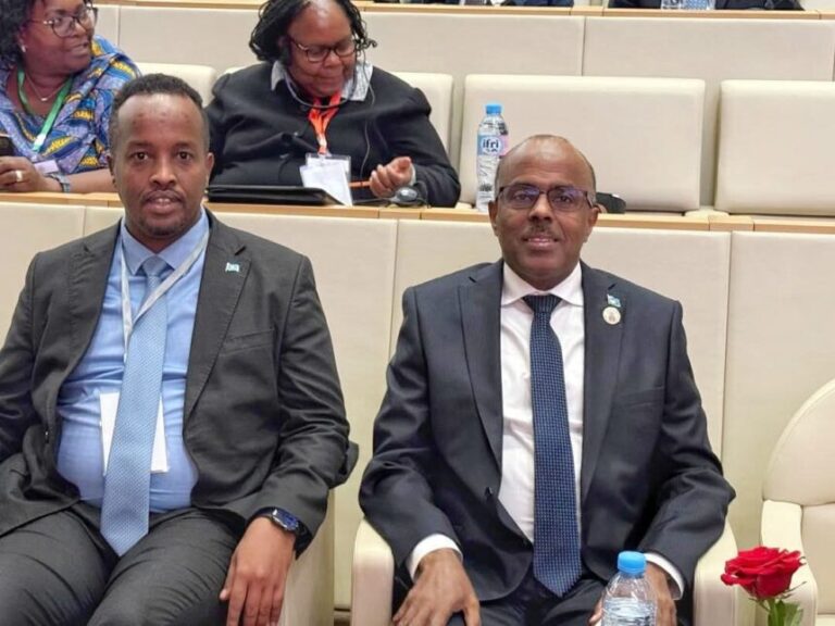 Wasiiru-dowlaha Arrimaha Dibadda oo ka qeybgalay Shirka Caalamiga ah ee Dambiyaynta Gumaysiga Afrika