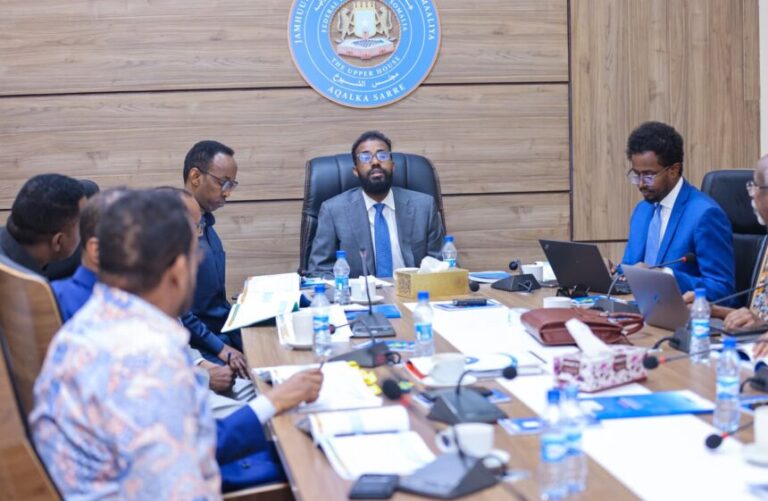 G/ Ku-xigeenka koowaad Aqalka Sare oo kormeer ugu tagay Guddiga dib-u-eegista Dastuurka