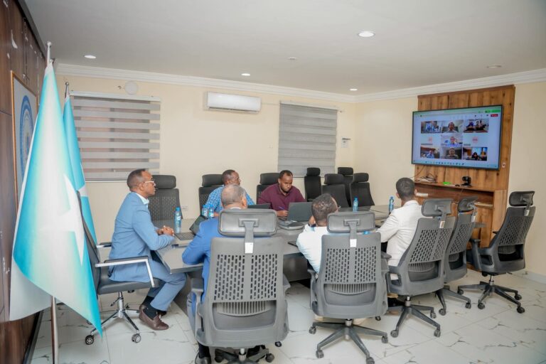 Guddoomiyaha Hay’adda SoDMA oo kulan kula yeeshay Zoomka deeq-bixiyaasha caalamka.