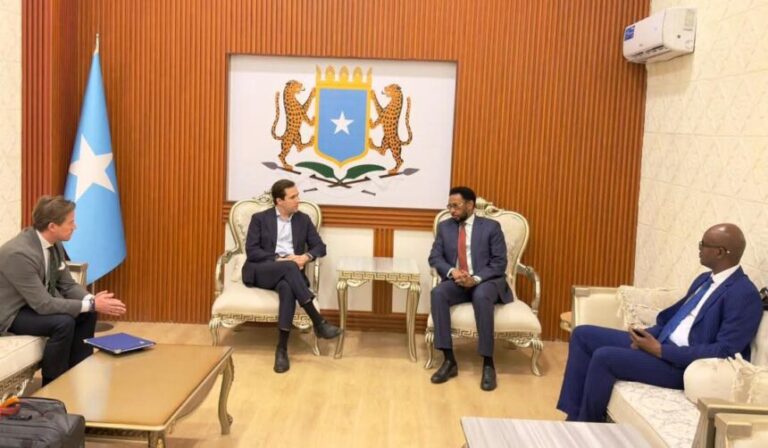 Wasiirka Maaliyadda oo soo dhaweeyay Wasiirka Iskaashiga Horumarinta Caalamiga ah Dowladda Sweden