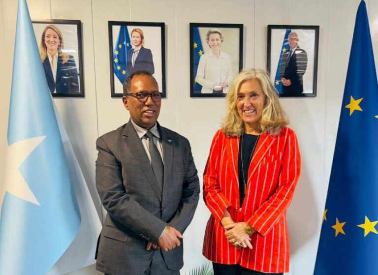 Wasiirka Hawlaha Guud oo la kulmay Safiirka Midowga Yurub.