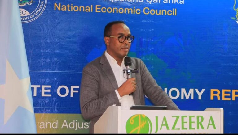 Guddoomiyaha Hay’adda SoDMA oo sheegay abaaraha ka jira dalka iyo sameyn tooda.