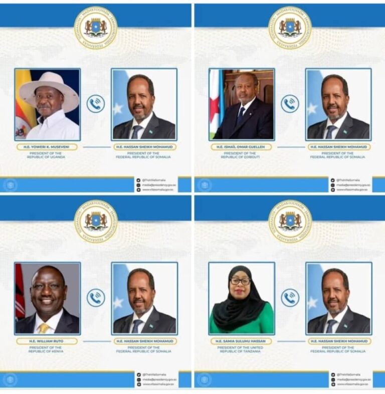 Madaxweynaha JFS oo wada-tashiyo baahsan oo diblomaasiyadeed la yeeshay madaxda Bariga iyo geeska Afrika