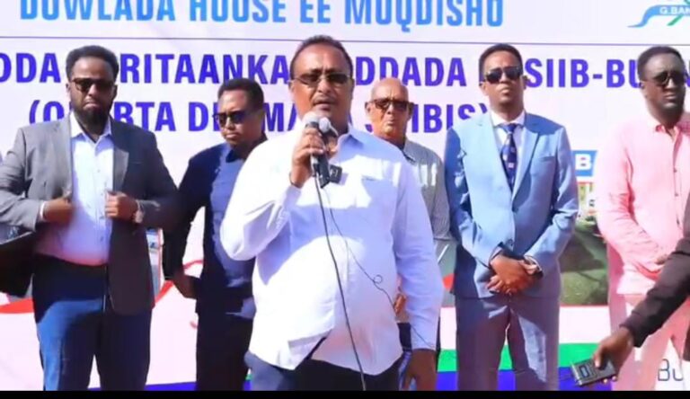 Guddoomiyaha Gobolka Banaadir oo xariga ka jiray laamiga Nasiib buundo ee Degmad Shibis.