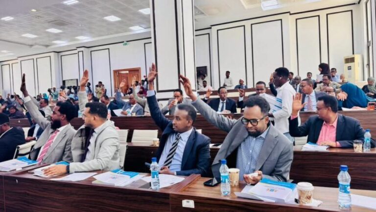 Golaha Shacab BJFS oo ansixiyey hindise sharciyeedka daawada