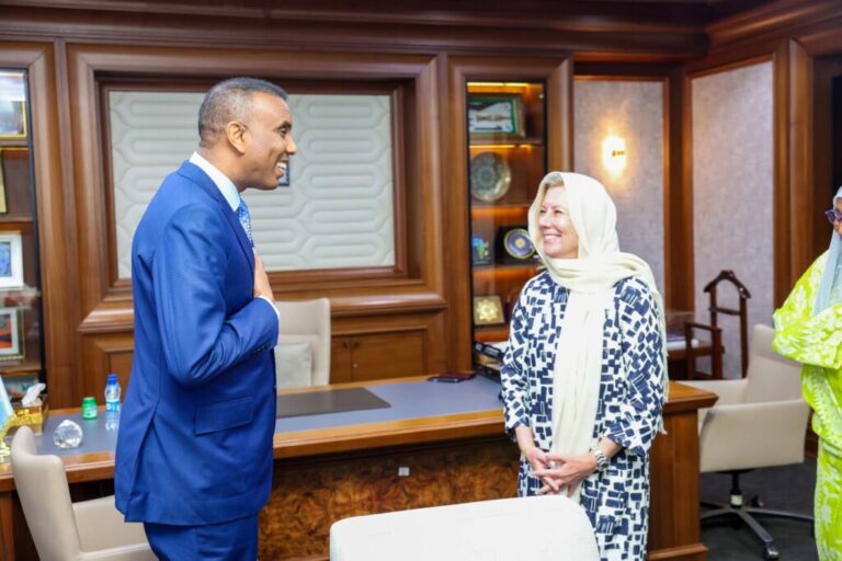 Ra’iisul wasaare Xamse oo qaabilay agaasimaha Hay’adda maliyadda caalamiga ah (IFC) ee Bariga Afrika