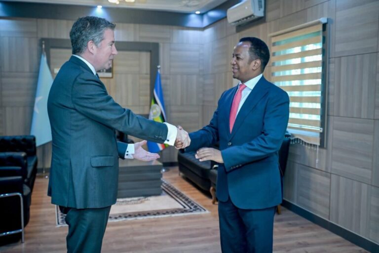 Wasiirka arrimaha dibadda oo qaabilay wafdi sare oo ka socda Turkiga