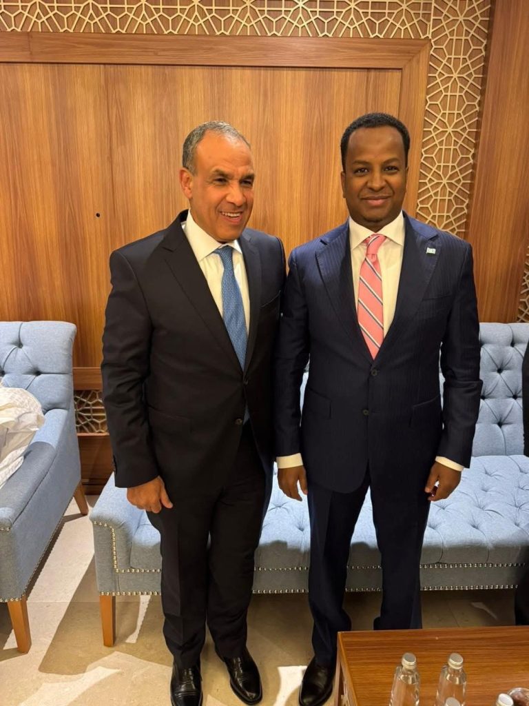 Wasiirka Arrimaha Dibadda XFS oo kulan-doceed la qaatay dhiggiisa dalka Masar