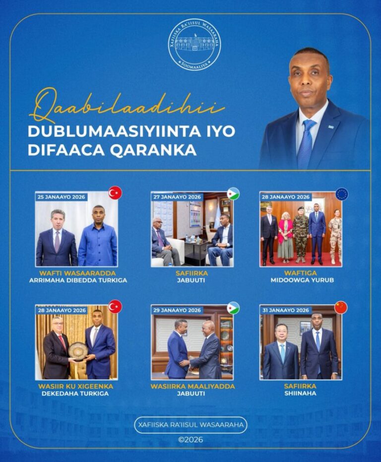 Qaabilaadihii dublumaasiyiinta iyo Difaaca Qaranka