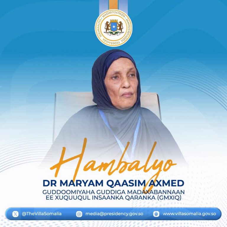 Madaxweynaha JFS oo u hambalyeeyay masuuliyiinta la doortay ee Guddiga Xuquuqul Insaanka Soomaaliya